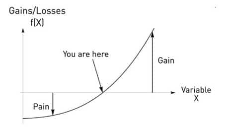 Graph showing gains and losses for Anti-fragile.