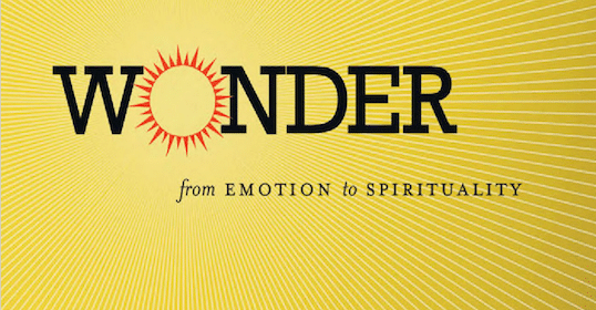 Book cover with the title "wonder" in large letters, subtitled "from emotion to spirituality," against a yellow background with radiating lines suggesting a burst of light or sunburst.