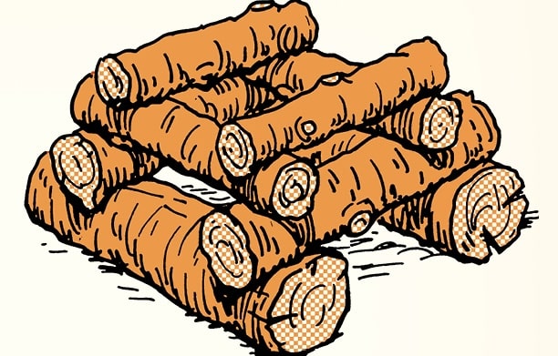 Illustration of a neatly stacked pile of cut logs arranged in a crisscross pattern, showing the ends of the logs with visible rings—perfect to build a summer fire.