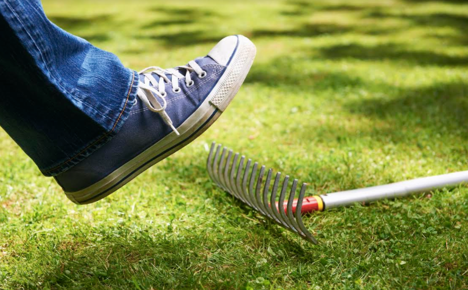 A person's feet on the grass with a rake, enjoying the good life.