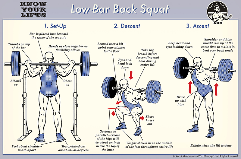 Instructions for performing a low-bar squat, a popular lift in weightlifting.