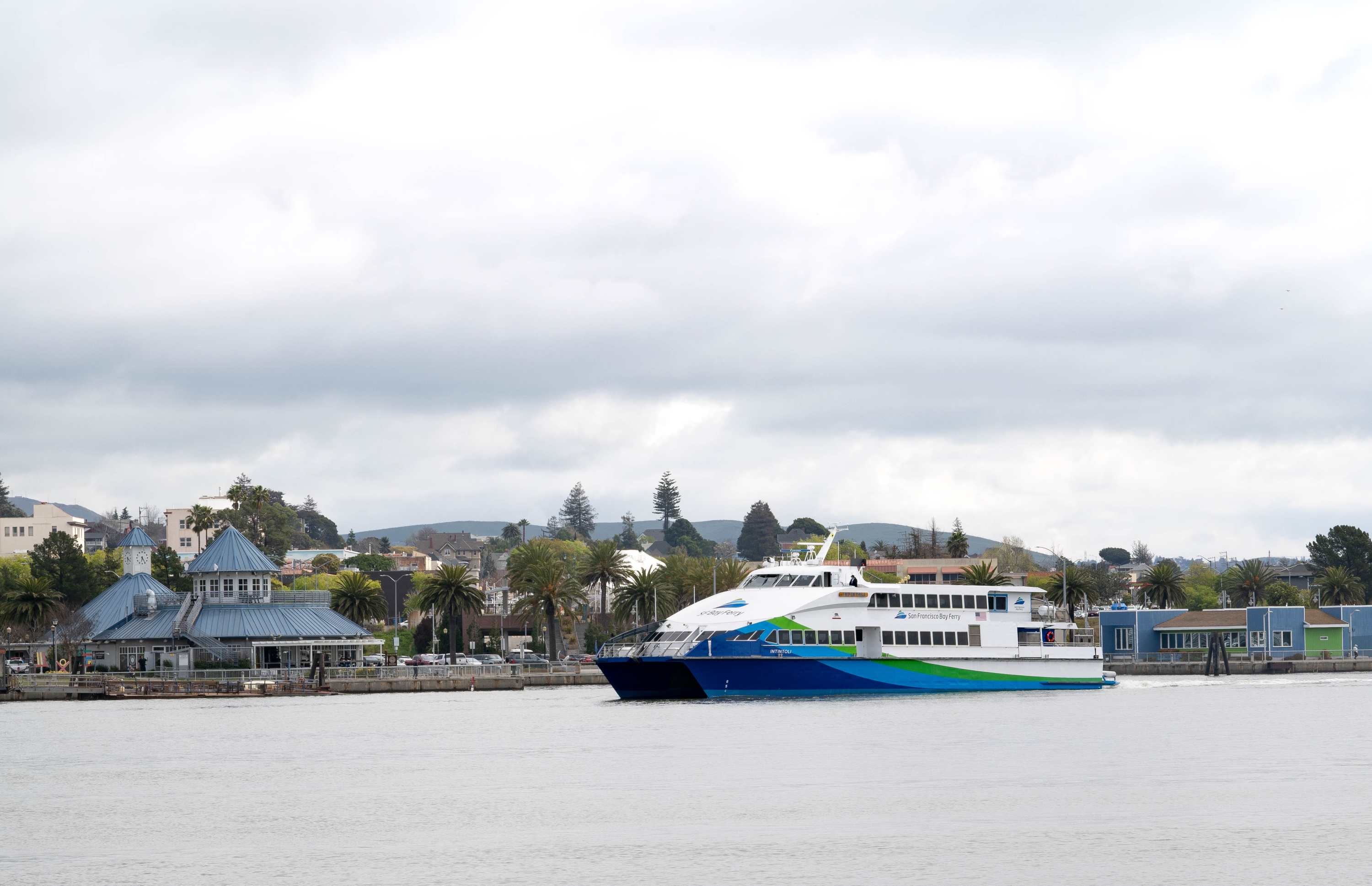 A large blue and white ferry on calm water with a cloudy sky, near a waterfront with buildings and palm trees.