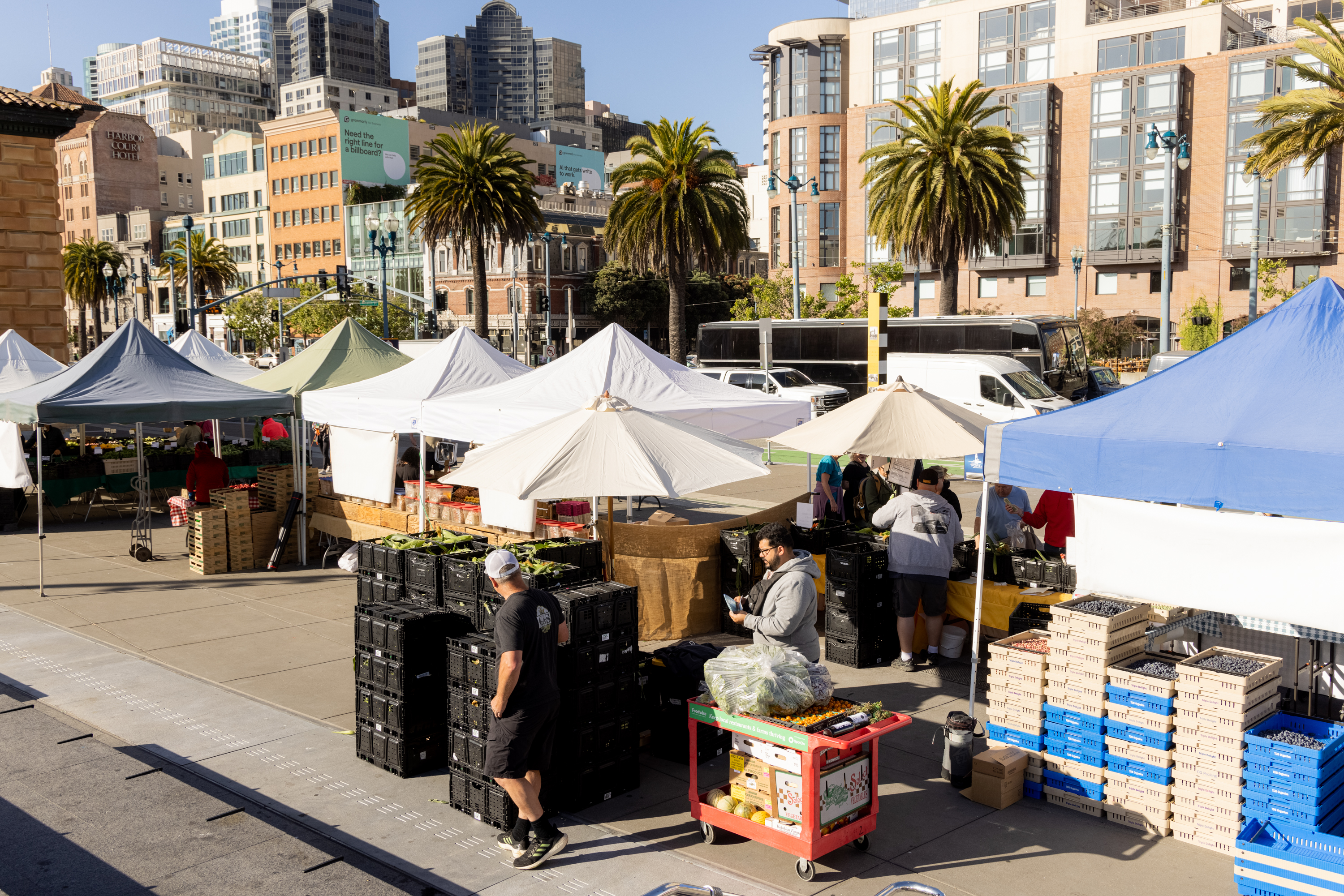 The image depicts a bustling outdoor farmers' market with vendors selling produce under white and blue tents. There are multiple people browsing and working, with vibrant city buildings and palm trees in the background.