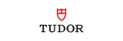 Tudor