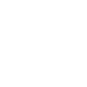 Nivada Grenchen Logo