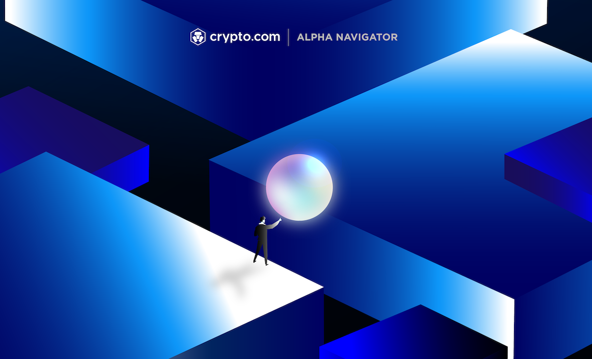 Alpha Navigator Report