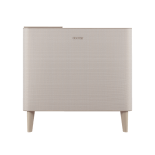 Airmega Icon Air Purifier Front