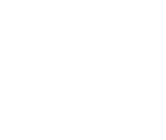 Made in the USA