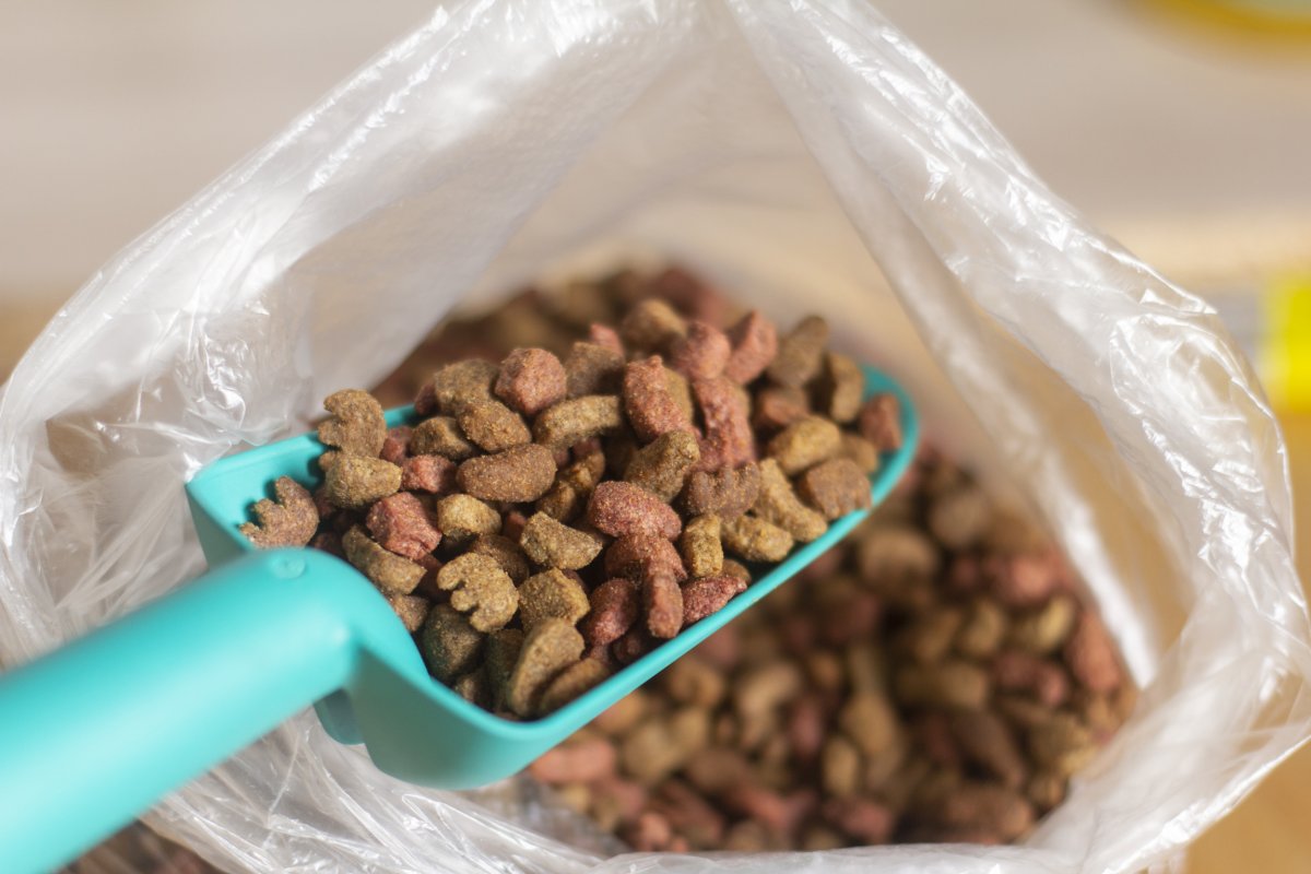 Dog, Cat Food Recall Sparks Nationwide Warning