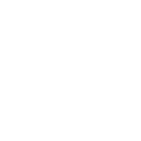 PDC Darts