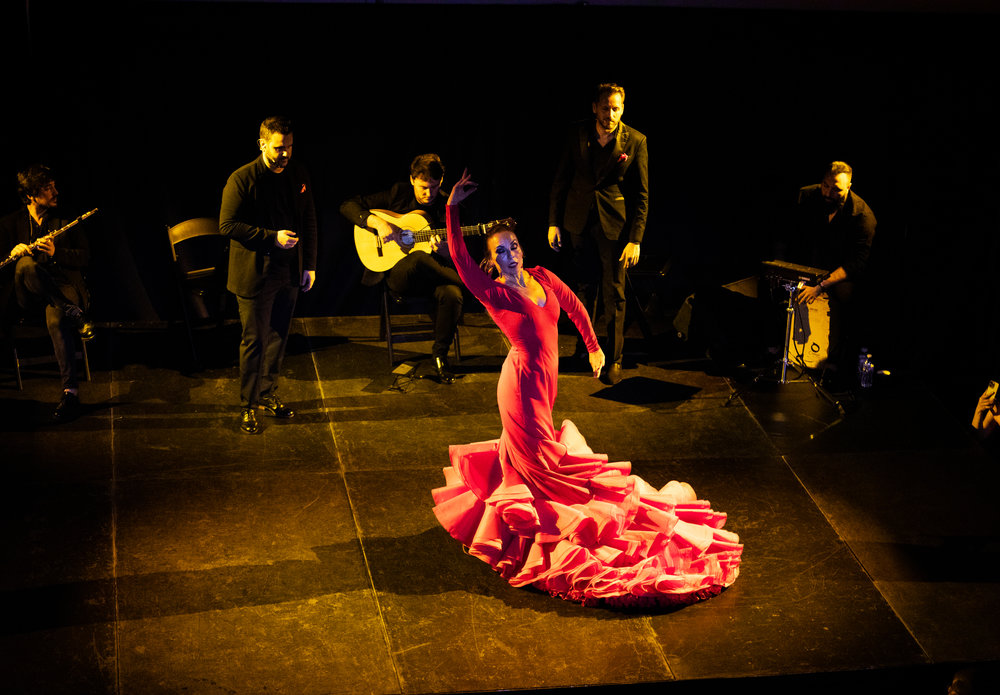 473932-flamenco-310-85fe7f-original-1680013263.jpg