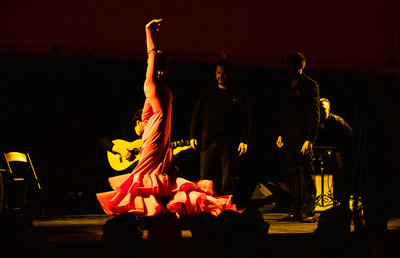 flamenco-317