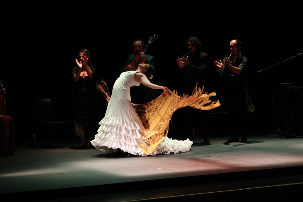 AuthenticFlamenco_TR_Fever_Ángeles Gabaldón