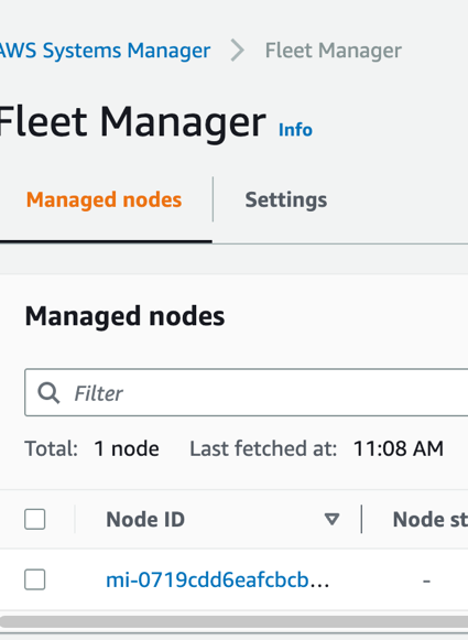 Figure 6: Systems Manager Node ID