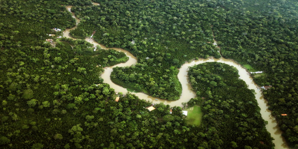 A photograph showing a birds-eye view of a lush rainforest