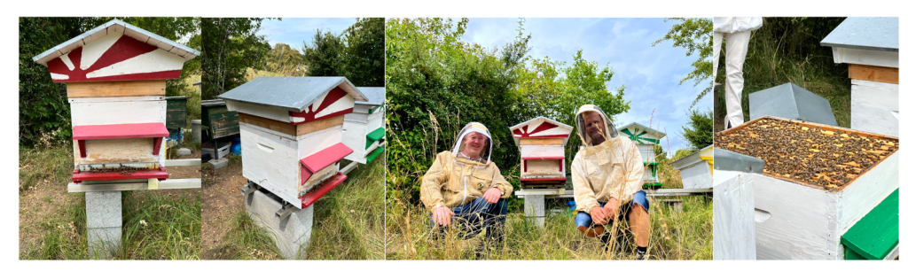 Figure 1: David Gerber’s IoT enabled beehives (Neuchatel, Switzerland)
