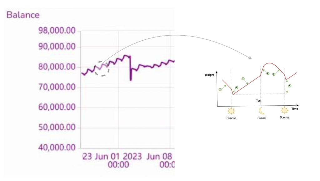 Figure 2 : Weight of hive over two weeks