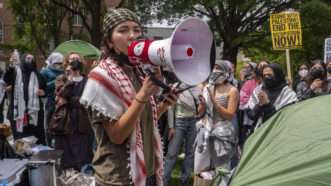 Pro-Palestinian protester at demonstration | Sue Dorfman/ZUMAPRESS/Newscom