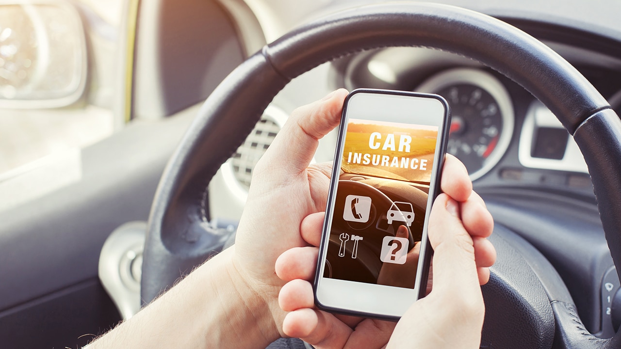 car insurance concept, driver reading website on smartphone