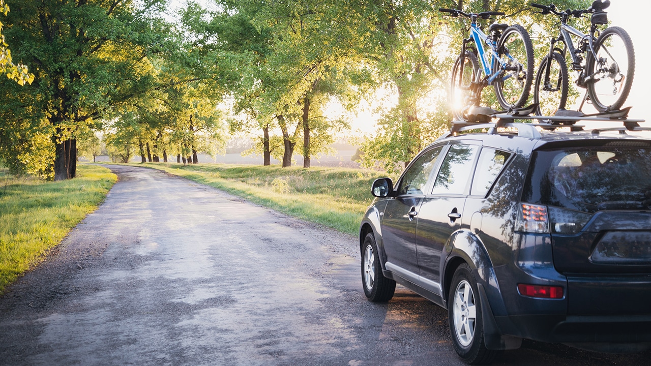 Car with bicycles in the forest road at sunset