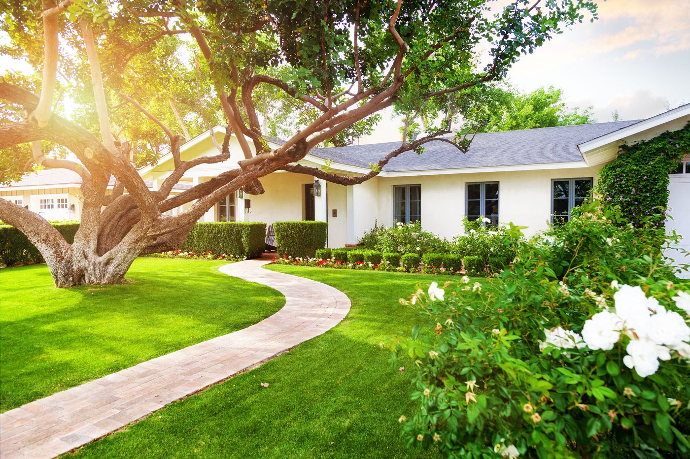 A white brick house with bright green yard and large tree.