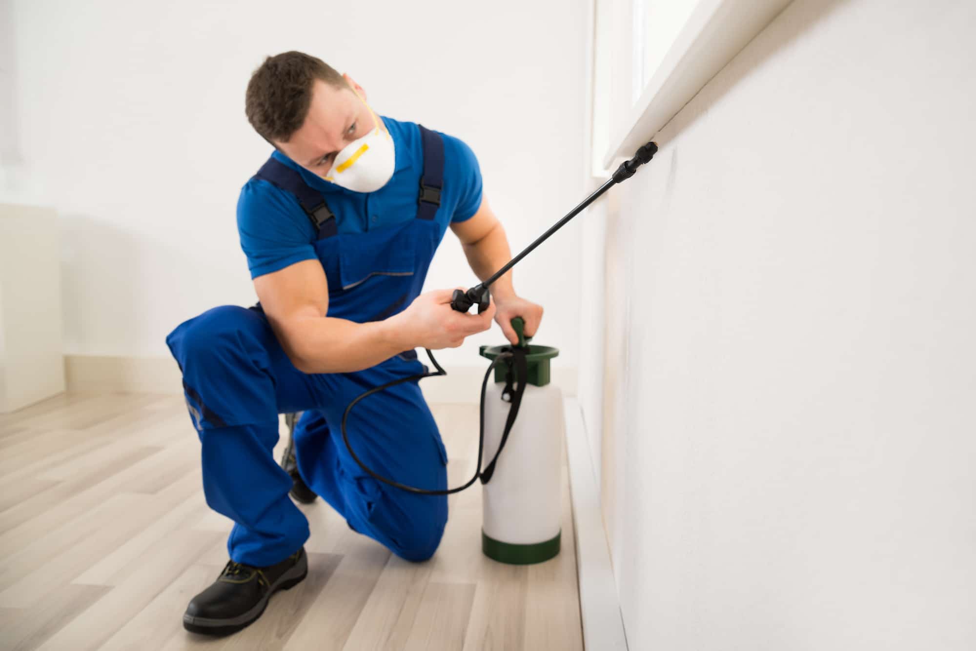 Male pest control worker spraying pesticide on window corner at home