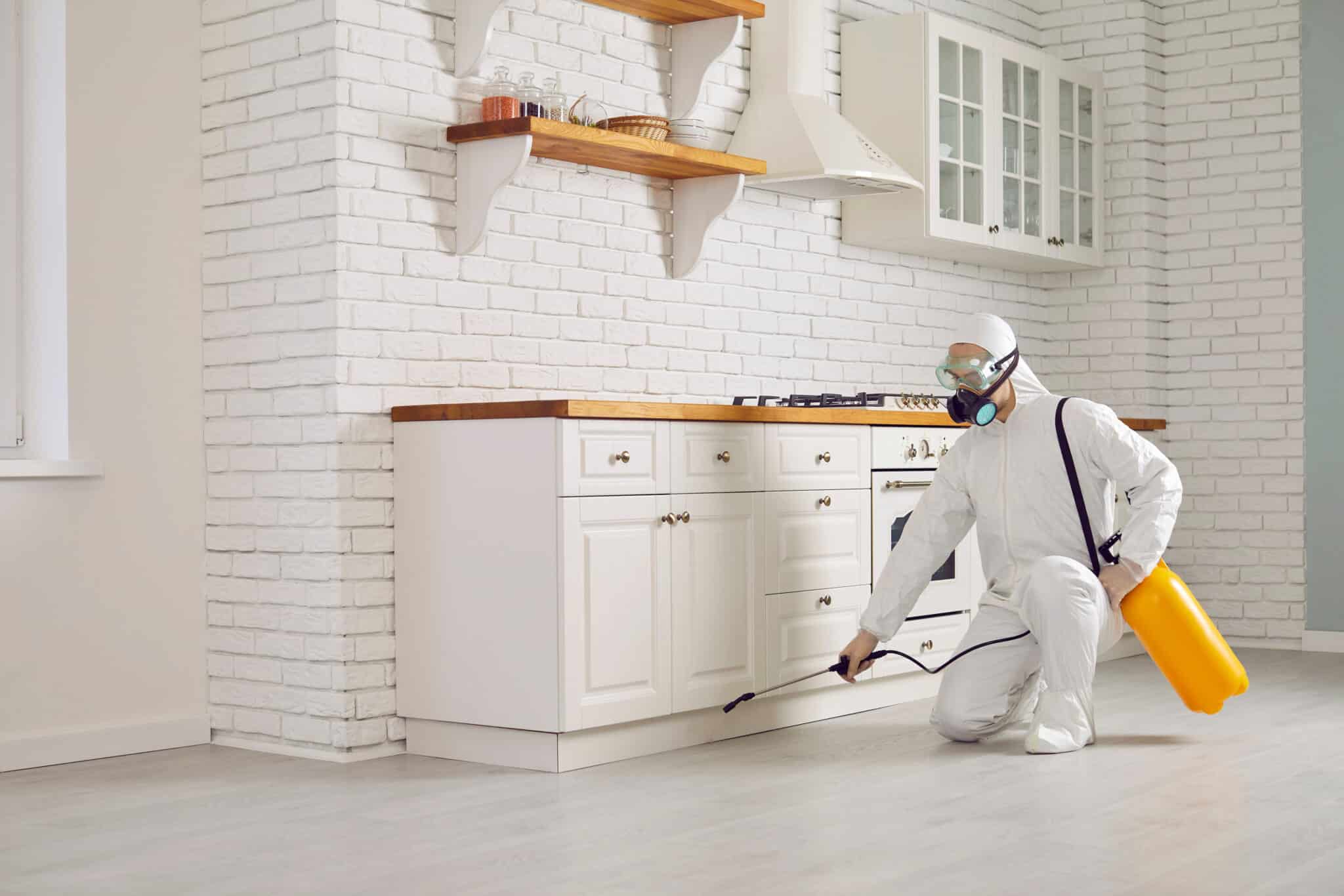 Exterminator fighting insects in house. Pest control home service guy in mask and white protective suit spraying poisonous gas or liquid from sprayer bottle on floors and cupboards in kitchen interior