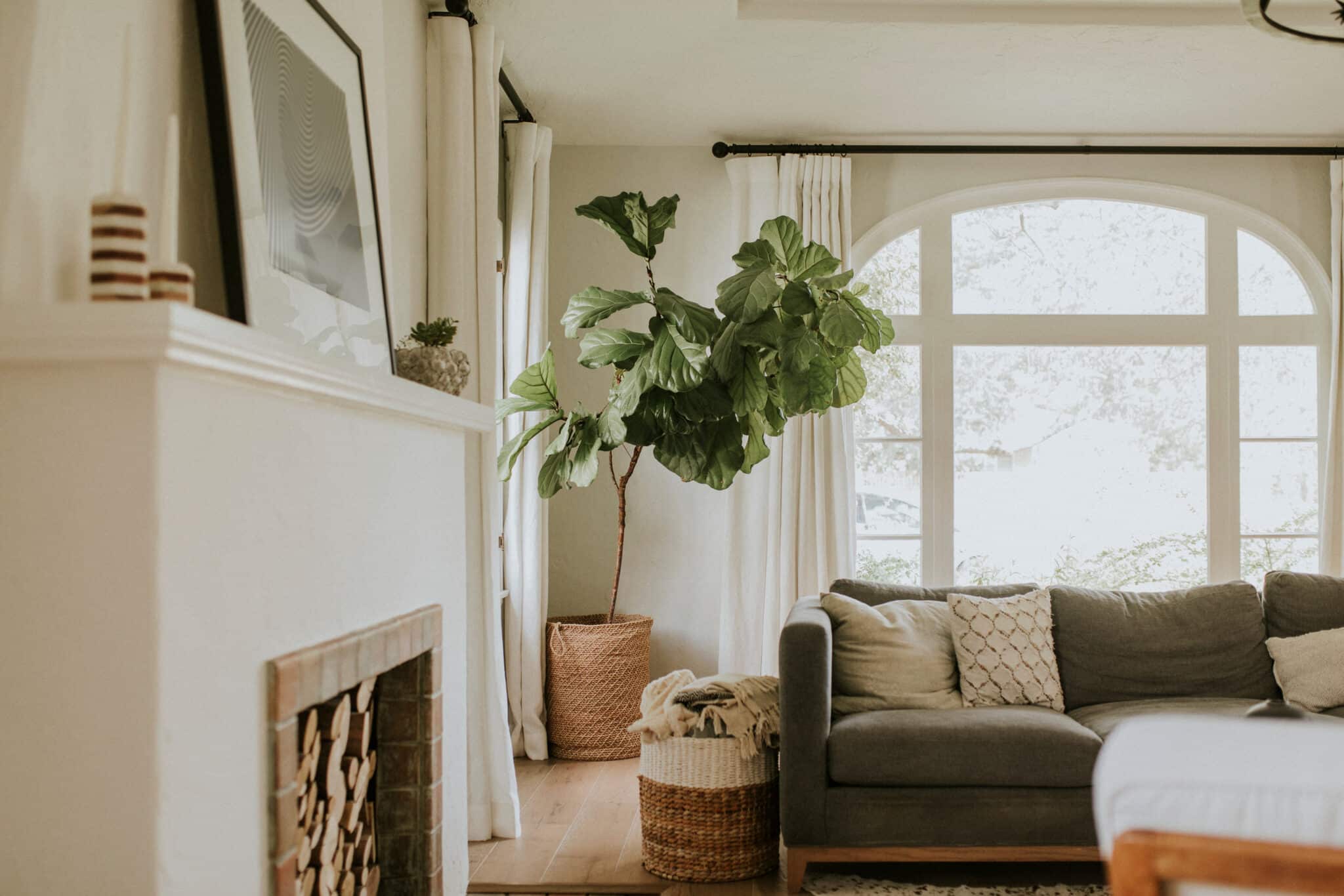 Cozy home living room with fireplace and large plant
