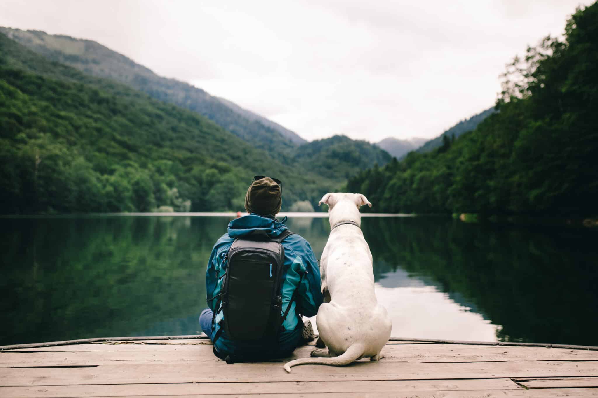 Man sitting with a dog on dock at the lake