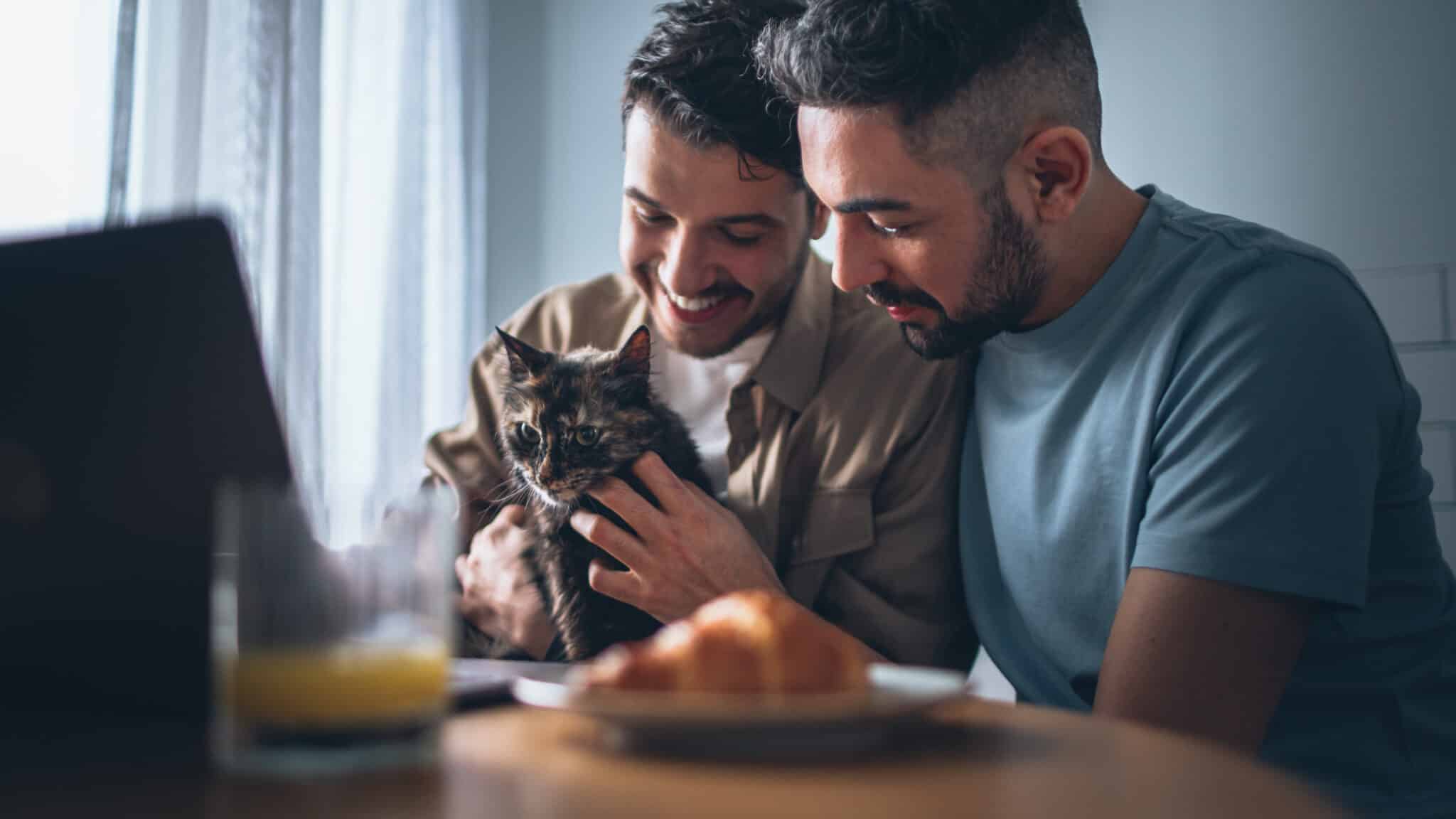 couple with a cat that they spend money on