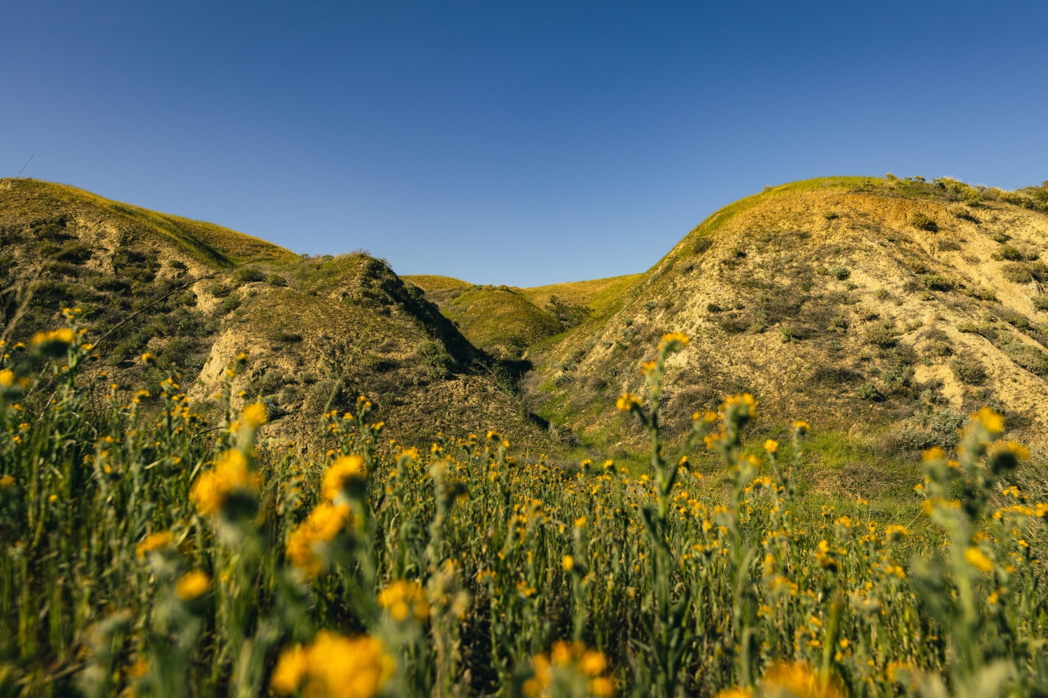 mountains near Bakersfield