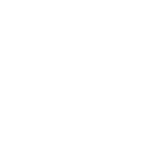 White Shield Icon