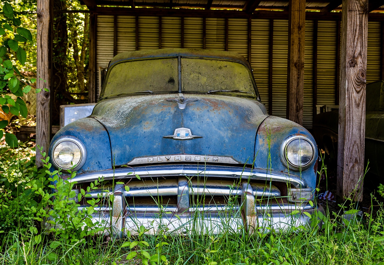 A rusty blue vehicle sits under a wooden canopy outside, surrounded by tall weeds, grass and other plants