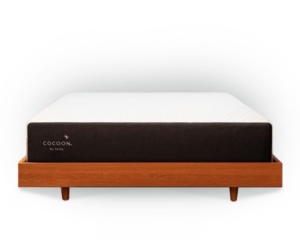 Cocoon Chill Memory Foam