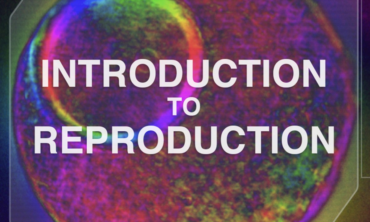 Introduction to Reproduction