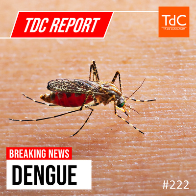 TdC 222: Report - Dengue