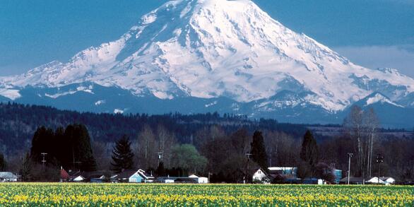 Mount Rainier seen from Puyallup, Washington