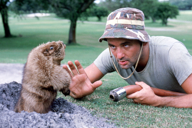 caddyshack-murray