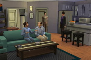 sims seinfeld