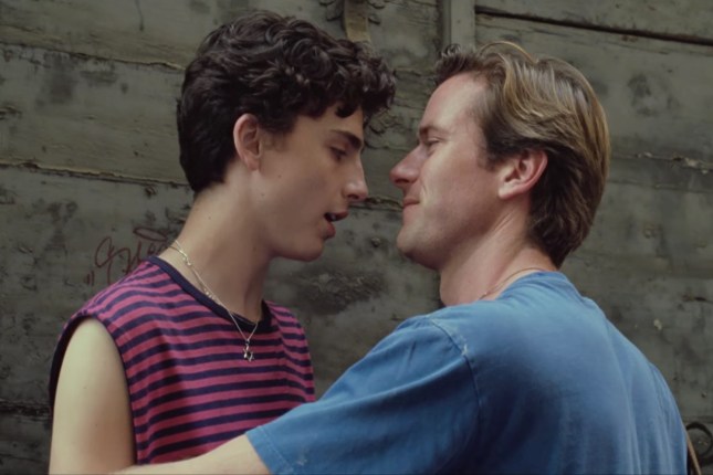 call me by your name chalamet hammer