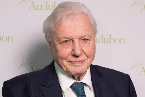 Sir David Attenborough attends National Audubon Society Annual Gala at Rainbow Room.