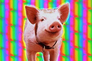 Babe from Babe Pig In The City on a pixelated rgb tv background