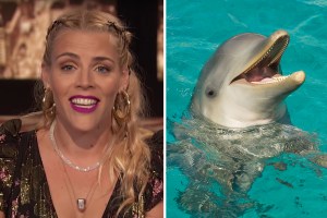 Busy Philipps on Busy Tonight; dolphin