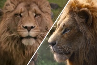 lion king vs chronicles of narnia side by side