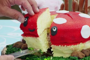 Lottie's Cotton Jiggly Cake in Great British Baking Show