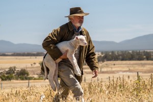 rAMS SAM NEILL MOVIE REVIEW