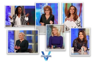 THE VIEW - Season 24 Composite of co-host photos Top row - L-R: Whoopi Goldberg, Joy Behar, Sunny Hostin Bottom row - L-R: Meghan McCain, Sara Haines, Ana Navarro (ABC)