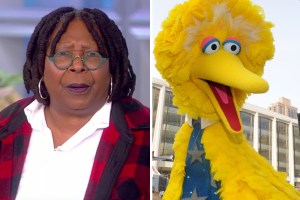 Whoopi Goldberg and Big Bird.