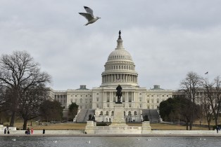 US Capitol