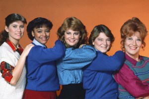 'The Facts of Life' show poster